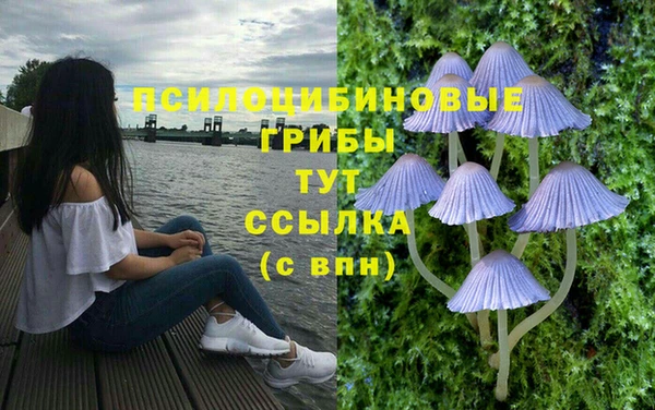 ALPHA PVP Алзамай