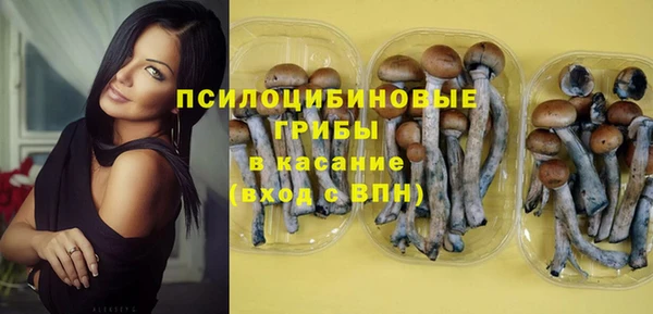 гидропоника Абинск
