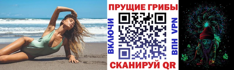 наркошоп  Бежецк  гидра ссылки  Галлюциногенные грибы прущие грибы 